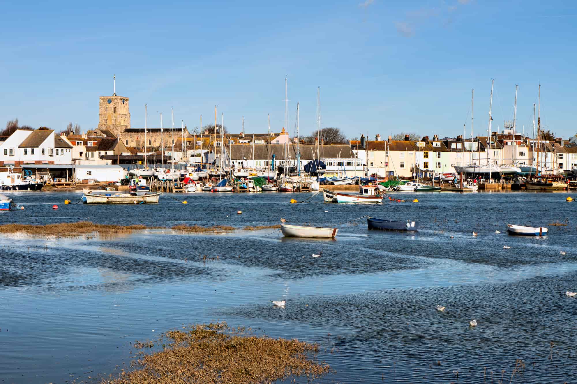 Small boats float on a calm harbor with white buildings and a church in the background. Masts rise above the waterfront, and seagulls rest on the water under a bright blue sky.